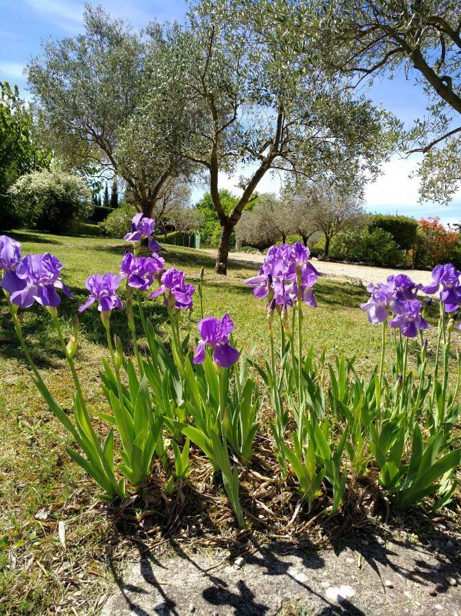 L'Abricotier Villa Malaucène Buitenkant foto
